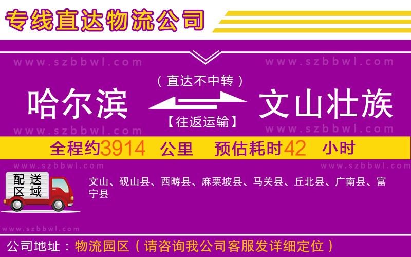 哈爾濱到文山壯族苗族自治州物流公司