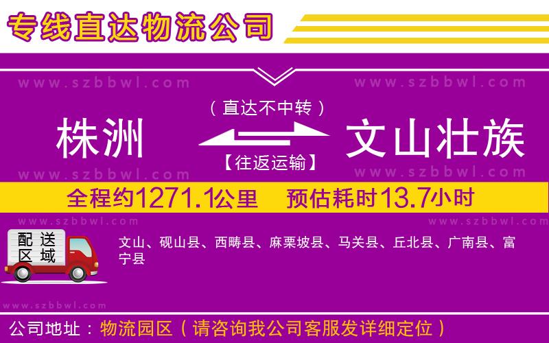 株洲到文山壯族苗族自治州物流專線