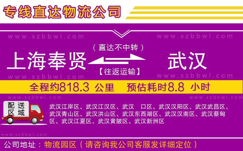 上海奉賢區(qū)到武漢物流公司