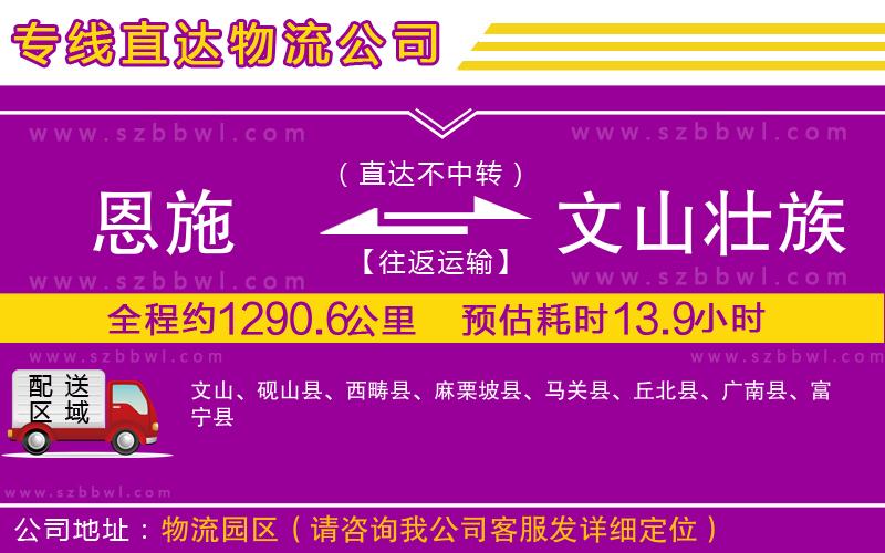 恩施到文山壯族苗族自治州物流公司