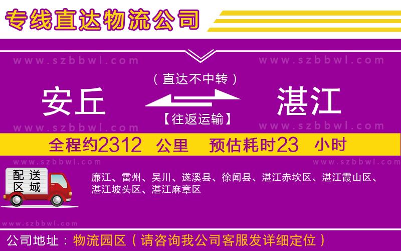 安丘到湛江物流公司