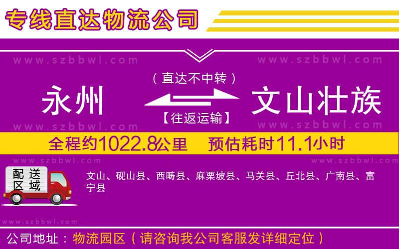 永州到文山壯族苗族自治州物流公司