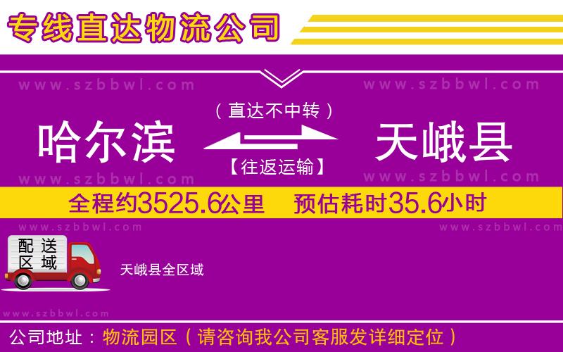 哈爾濱到天峨縣物流公司
