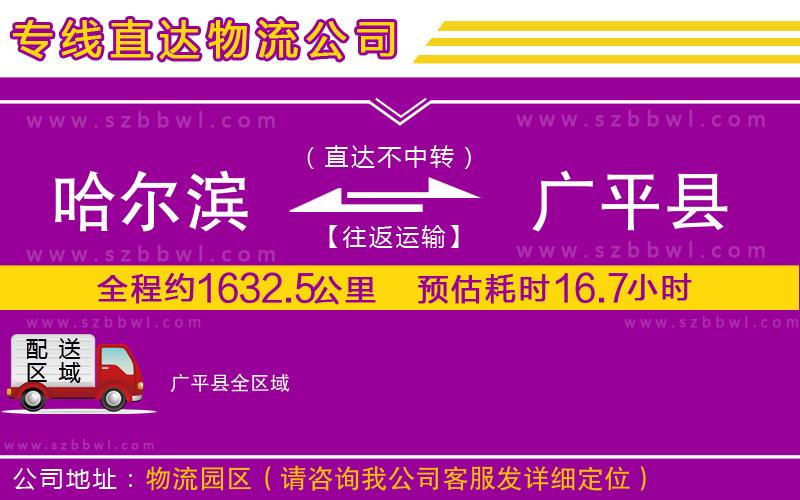哈爾濱到廣平縣物流公司