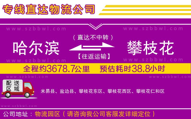 哈爾濱到攀枝花物流專(zhuān)線