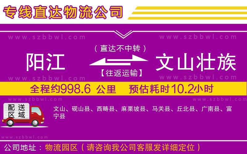 陽江到文山壯族苗族自治州物流公司